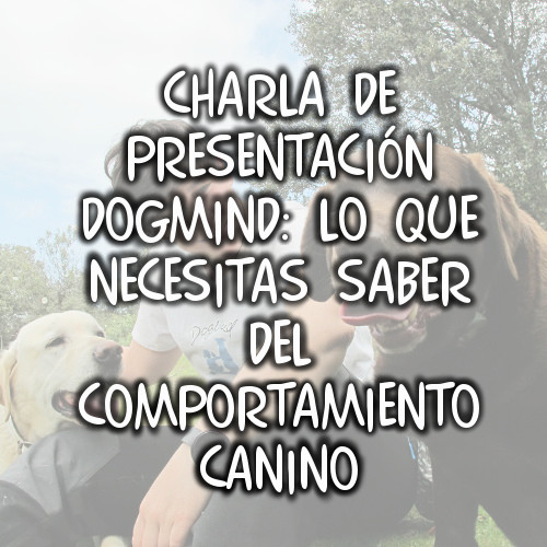 Cursos y charlas 2a