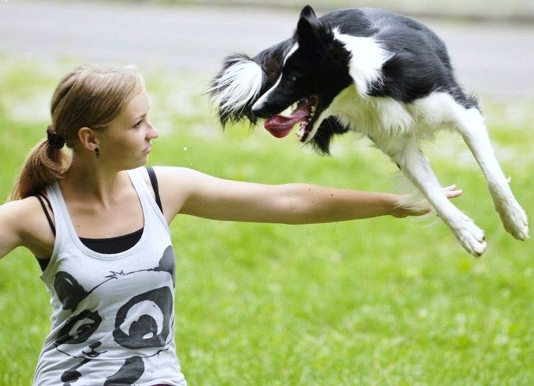 Imagen extraída de la web www.hunde-wiese.ch. ¿Conoces al autor?