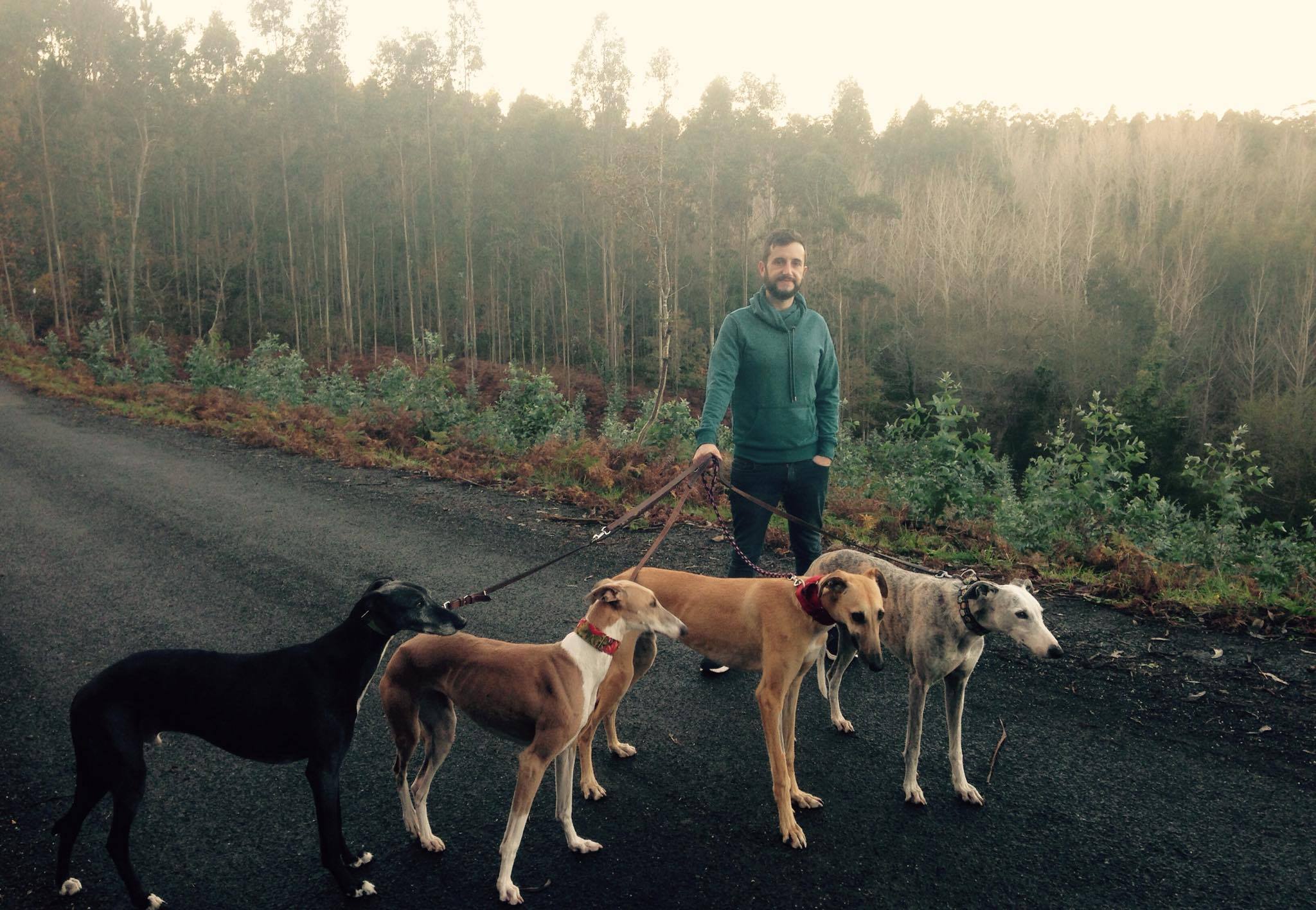 Galgos de paseo - Alfredo Blanco