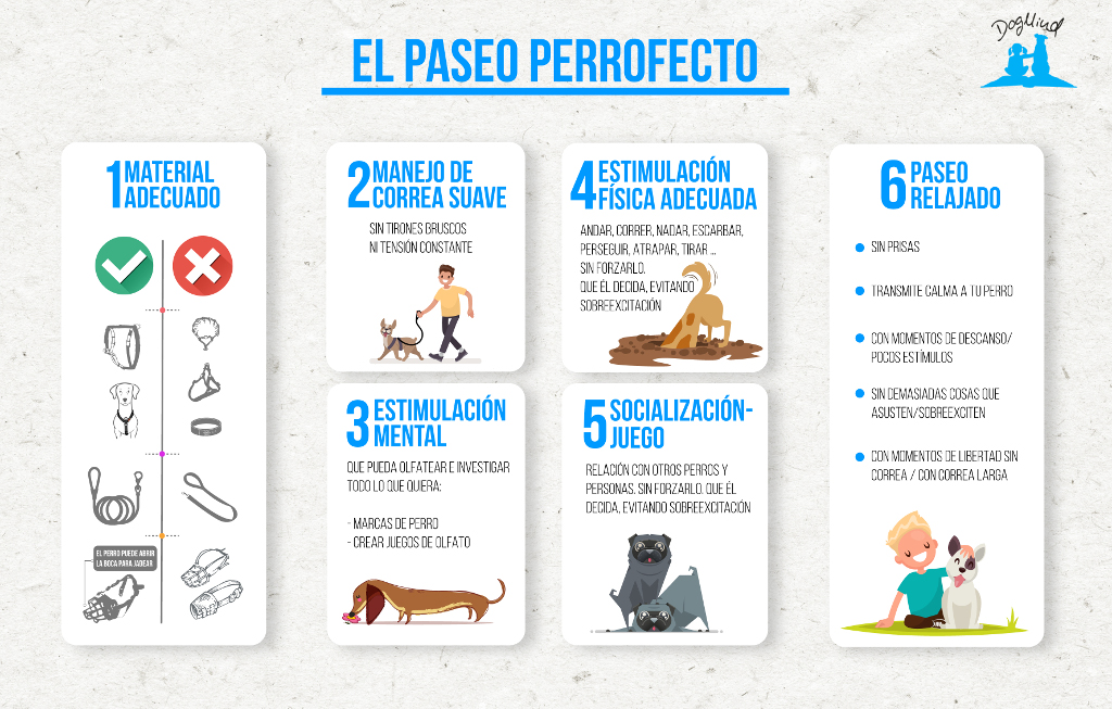 Paseo Perrofecto peq ASP DogMind