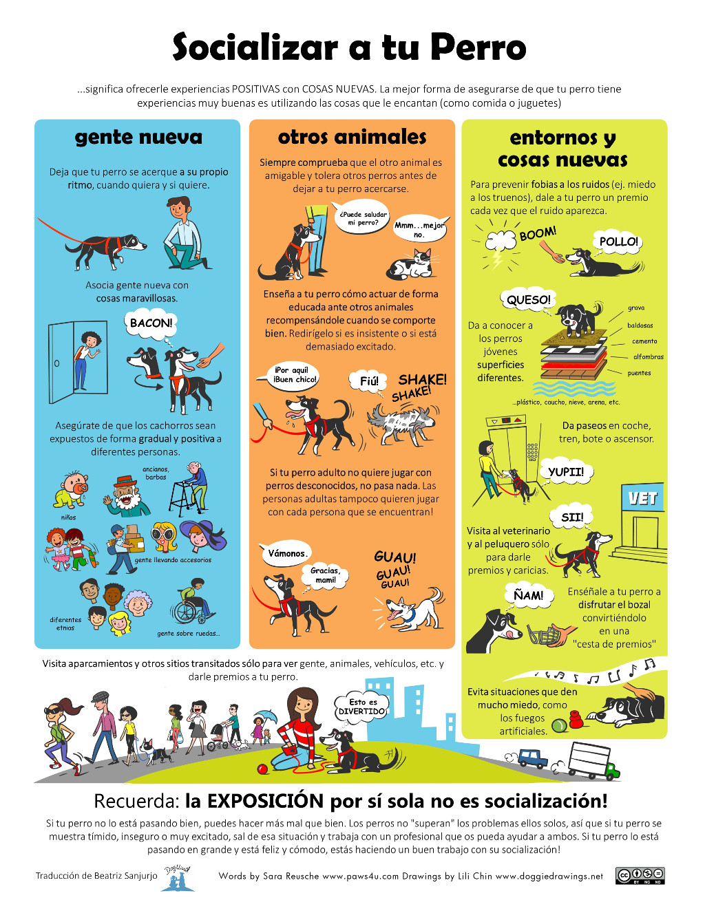 Socializar perro Chin Reusche DogMind