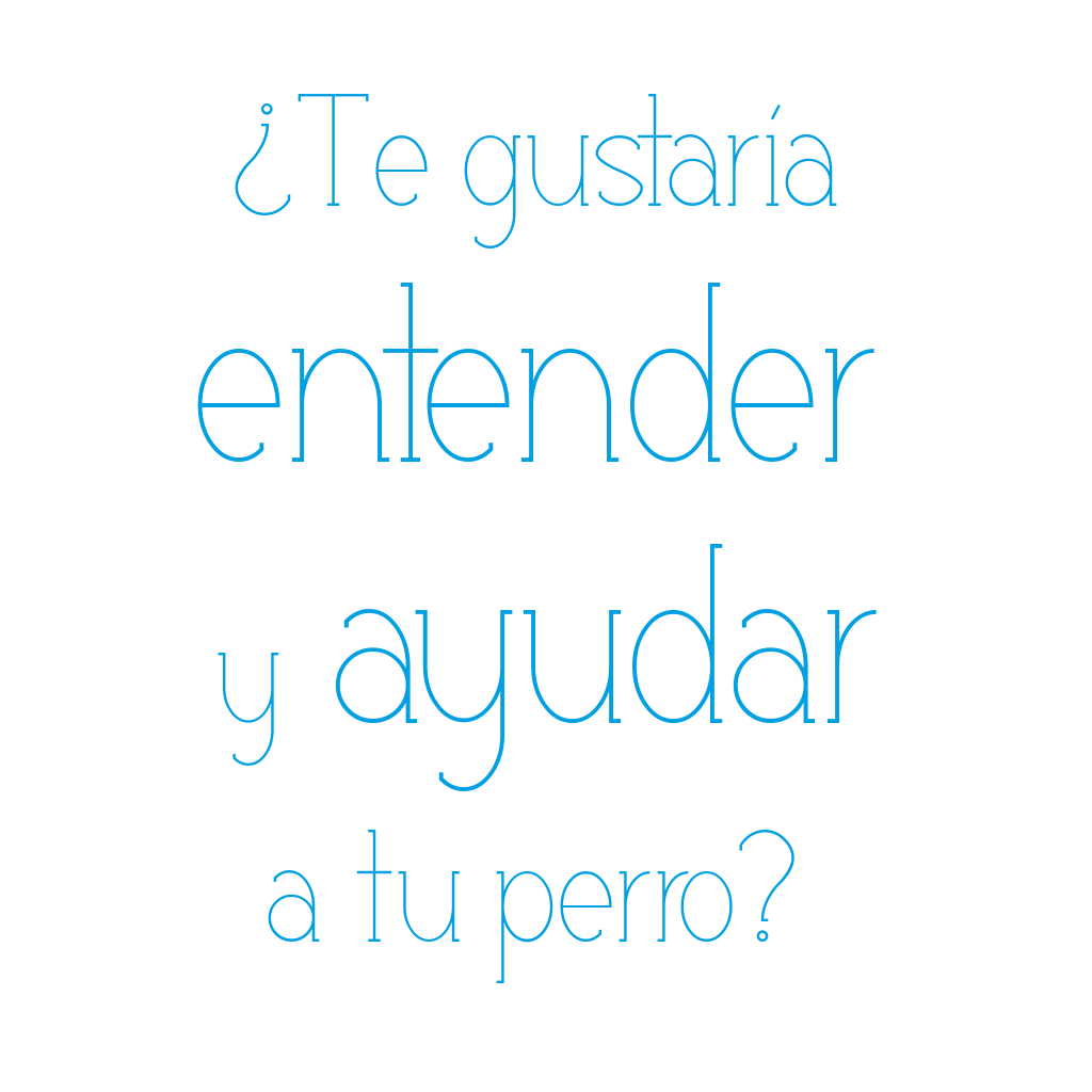 Cursos y Charlas