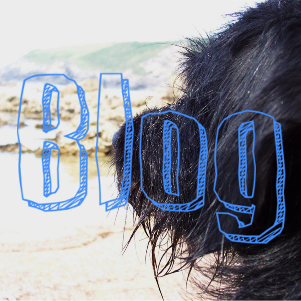 Blog