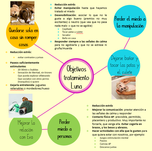 ejemplo tratamiento personalizado